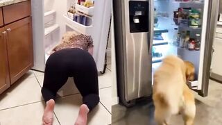 [3] Yourpuppygirl (Jena) OnlyFans Leaks Subby Sadomasochist Puppy Girl Porn