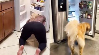 [3] Yourpuppygirl (Jena) OnlyFans Leaks Subby Sadomasochist Puppy Girl Porn