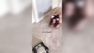[42] Yourpuppygirl (Jena) OnlyFans Leaks Subby Sadomasochist Puppy Girl Porn