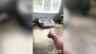 [55] Yourpuppygirl (Jena) OnlyFans Leaks Subby Sadomasochist Puppy Girl Porn