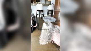 [62] Yourpuppygirl (Jena) OnlyFans Leaks Subby Sadomasochist Puppy Girl Porn