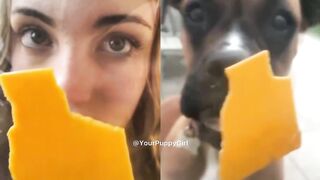 [9] Yourpuppygirl (Jena) OnlyFans Leaks Subby Sadomasochist Puppy Girl Porn