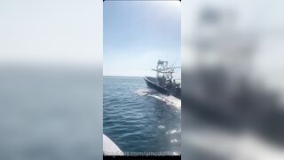 [45] Amcduffie101 (Ashley McDuffie aka Littletitties94 ) OnlyFans Leaks South Florida Girl Porn