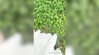 [171] Rikakodesu (Rikako Katayama aka katayama_rikako) OnlyFans Leaks your Enchanting Tokyo Japanese Muse