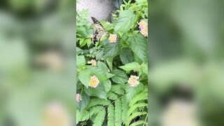 [193] Rikakodesu (Rikako Katayama aka katayama_rikako) OnlyFans Leaks your Enchanting Tokyo Japanese Muse