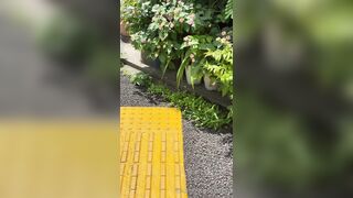 [194] Rikakodesu (Rikako Katayama aka katayama_rikako) OnlyFans Leaks your Enchanting Tokyo Japanese Muse