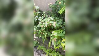 [194] Rikakodesu (Rikako Katayama aka katayama_rikako) OnlyFans Leaks your Enchanting Tokyo Japanese Muse