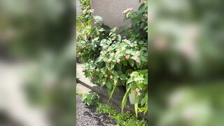 [194] Rikakodesu (Rikako Katayama aka katayama_rikako) OnlyFans Leaks your Enchanting Tokyo Japanese Muse