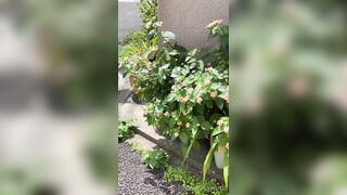 [194] Rikakodesu (Rikako Katayama aka katayama_rikako) OnlyFans Leaks your Enchanting Tokyo Japanese Muse