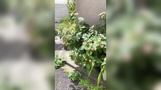 [194] Rikakodesu (Rikako Katayama aka katayama_rikako) OnlyFans Leaks your Enchanting Tokyo Japanese Muse