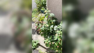 [194] Rikakodesu (Rikako Katayama aka katayama_rikako) OnlyFans Leaks your Enchanting Tokyo Japanese Muse