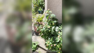 [194] Rikakodesu (Rikako Katayama aka katayama_rikako) OnlyFans Leaks your Enchanting Tokyo Japanese Muse