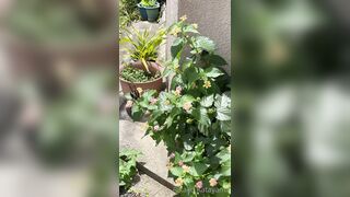 [194] Rikakodesu (Rikako Katayama aka katayama_rikako) OnlyFans Leaks your Enchanting Tokyo Japanese Muse