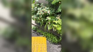 [194] Rikakodesu (Rikako Katayama aka katayama_rikako) OnlyFans Leaks your Enchanting Tokyo Japanese Muse