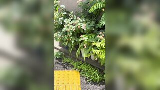 [194] Rikakodesu (Rikako Katayama aka katayama_rikako) OnlyFans Leaks your Enchanting Tokyo Japanese Muse