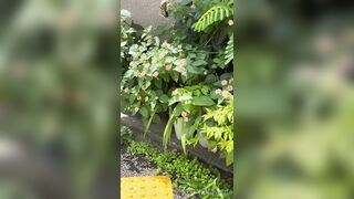 [194] Rikakodesu (Rikako Katayama aka katayama_rikako) OnlyFans Leaks your Enchanting Tokyo Japanese Muse