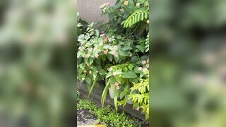 [194] Rikakodesu (Rikako Katayama aka katayama_rikako) OnlyFans Leaks your Enchanting Tokyo Japanese Muse