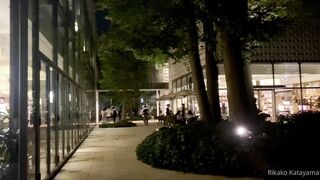 [231] Rikakodesu (Rikako Katayama aka katayama_rikako) OnlyFans Leaks your Enchanting Tokyo Japanese Muse