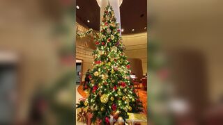 [259] Rikakodesu (Rikako Katayama aka katayama_rikako) OnlyFans Leaks your Enchanting Tokyo Japanese Muse