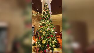 [259] Rikakodesu (Rikako Katayama aka katayama_rikako) OnlyFans Leaks your Enchanting Tokyo Japanese Muse