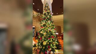 [259] Rikakodesu (Rikako Katayama aka katayama_rikako) OnlyFans Leaks your Enchanting Tokyo Japanese Muse