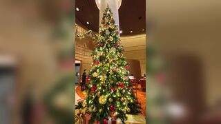 [259] Rikakodesu (Rikako Katayama aka katayama_rikako) OnlyFans Leaks your Enchanting Tokyo Japanese Muse