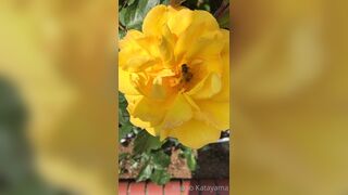 [28] Rikakodesu (Rikako Katayama aka katayama_rikako) OnlyFans Leaks your Enchanting Tokyo Japanese Muse