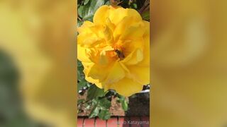 [28] Rikakodesu (Rikako Katayama aka katayama_rikako) OnlyFans Leaks your Enchanting Tokyo Japanese Muse