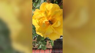 [28] Rikakodesu (Rikako Katayama aka katayama_rikako) OnlyFans Leaks your Enchanting Tokyo Japanese Muse