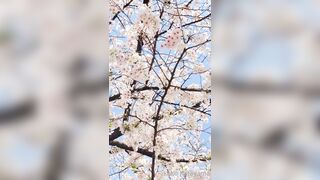 [294] Rikakodesu (Rikako Katayama aka katayama_rikako) OnlyFans Leaks your Enchanting Tokyo Japanese Muse