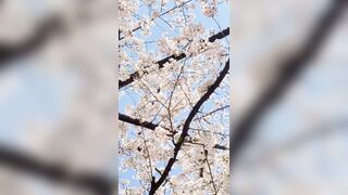 [294] Rikakodesu (Rikako Katayama aka katayama_rikako) OnlyFans Leaks your Enchanting Tokyo Japanese Muse