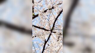 [294] Rikakodesu (Rikako Katayama aka katayama_rikako) OnlyFans Leaks your Enchanting Tokyo Japanese Muse