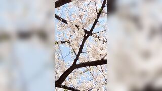 [294] Rikakodesu (Rikako Katayama aka katayama_rikako) OnlyFans Leaks your Enchanting Tokyo Japanese Muse