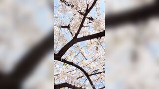 [294] Rikakodesu (Rikako Katayama aka katayama_rikako) OnlyFans Leaks your Enchanting Tokyo Japanese Muse