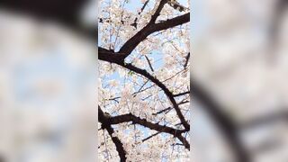 [294] Rikakodesu (Rikako Katayama aka katayama_rikako) OnlyFans Leaks your Enchanting Tokyo Japanese Muse