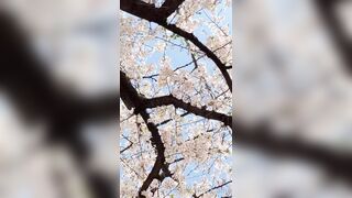 [294] Rikakodesu (Rikako Katayama aka katayama_rikako) OnlyFans Leaks your Enchanting Tokyo Japanese Muse