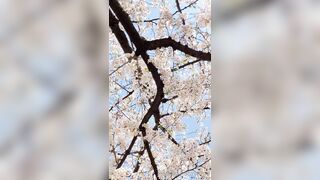 [294] Rikakodesu (Rikako Katayama aka katayama_rikako) OnlyFans Leaks your Enchanting Tokyo Japanese Muse