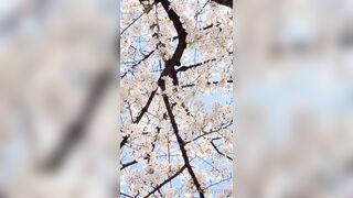 [294] Rikakodesu (Rikako Katayama aka katayama_rikako) OnlyFans Leaks your Enchanting Tokyo Japanese Muse