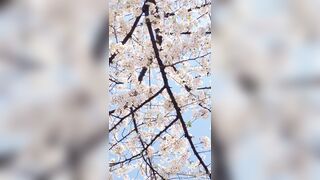 [294] Rikakodesu (Rikako Katayama aka katayama_rikako) OnlyFans Leaks your Enchanting Tokyo Japanese Muse