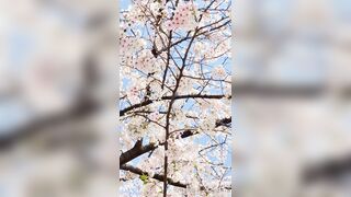 [294] Rikakodesu (Rikako Katayama aka katayama_rikako) OnlyFans Leaks your Enchanting Tokyo Japanese Muse