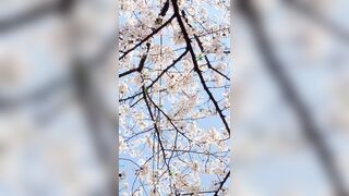 [294] Rikakodesu (Rikako Katayama aka katayama_rikako) OnlyFans Leaks your Enchanting Tokyo Japanese Muse