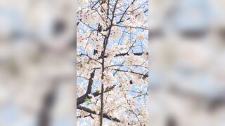 [294] Rikakodesu (Rikako Katayama aka katayama_rikako) OnlyFans Leaks your Enchanting Tokyo Japanese Muse