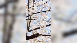 [294] Rikakodesu (Rikako Katayama aka katayama_rikako) OnlyFans Leaks your Enchanting Tokyo Japanese Muse