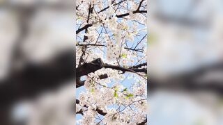 [294] Rikakodesu (Rikako Katayama aka katayama_rikako) OnlyFans Leaks your Enchanting Tokyo Japanese Muse