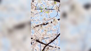 [294] Rikakodesu (Rikako Katayama aka katayama_rikako) OnlyFans Leaks your Enchanting Tokyo Japanese Muse