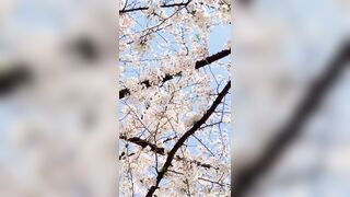 [294] Rikakodesu (Rikako Katayama aka katayama_rikako) OnlyFans Leaks your Enchanting Tokyo Japanese Muse