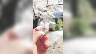 [295] Rikakodesu (Rikako Katayama aka katayama_rikako) OnlyFans Leaks your Enchanting Tokyo Japanese Muse