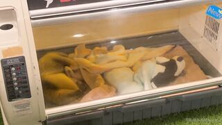 [370] Rikakodesu (Rikako Katayama aka katayama_rikako) OnlyFans Leaks your Enchanting Tokyo Japanese Muse