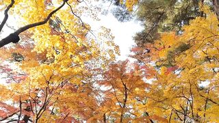 [392] Rikakodesu (Rikako Katayama aka katayama_rikako) OnlyFans Leaks your Enchanting Tokyo Japanese Muse