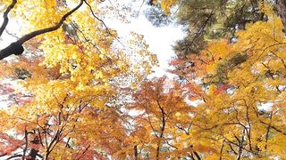 [392] Rikakodesu (Rikako Katayama aka katayama_rikako) OnlyFans Leaks your Enchanting Tokyo Japanese Muse